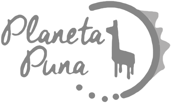 Planeta Puna logo Planeta Puna logo